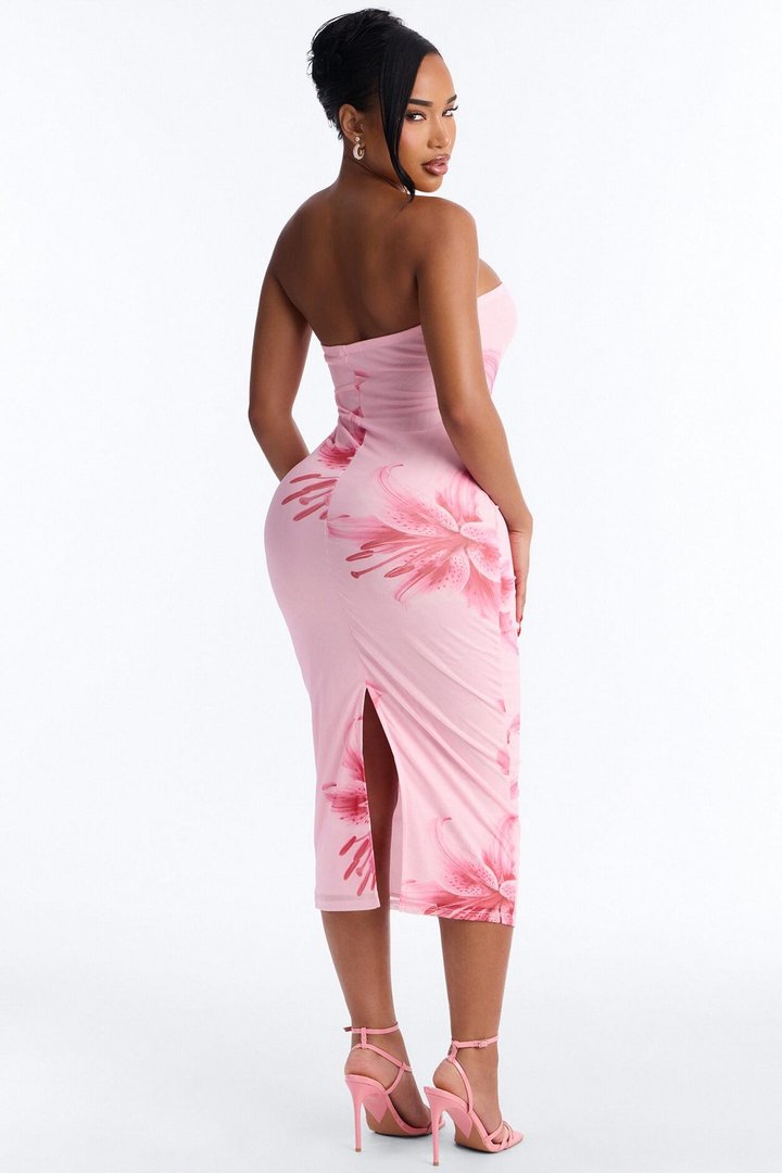 Elara Printed Mesh Midi Dress - Pink