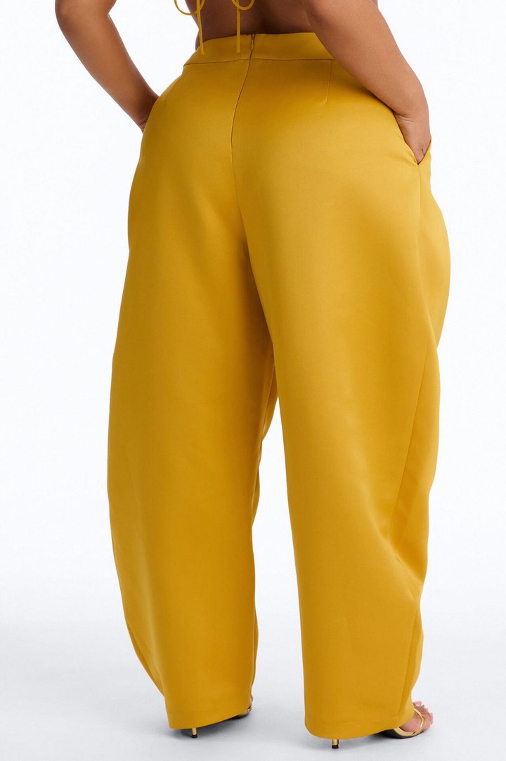 Ottilie High Rise Pleated Barrel Leg Pant - Yellow