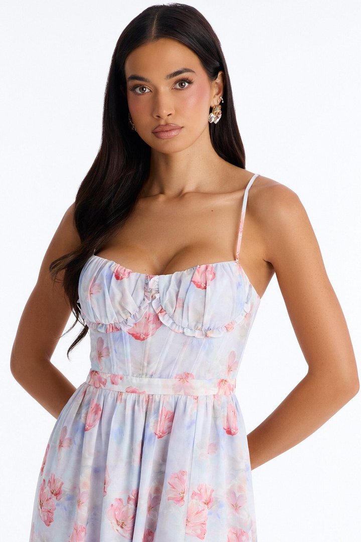 Daisy Chiffon Floral Maxi Dress - Blue/combo