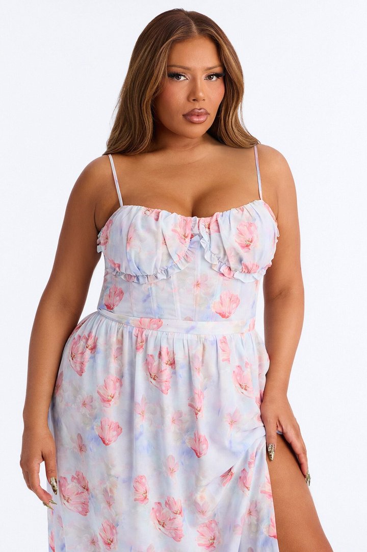 Daisy Chiffon Floral Maxi Dress - Blue/combo