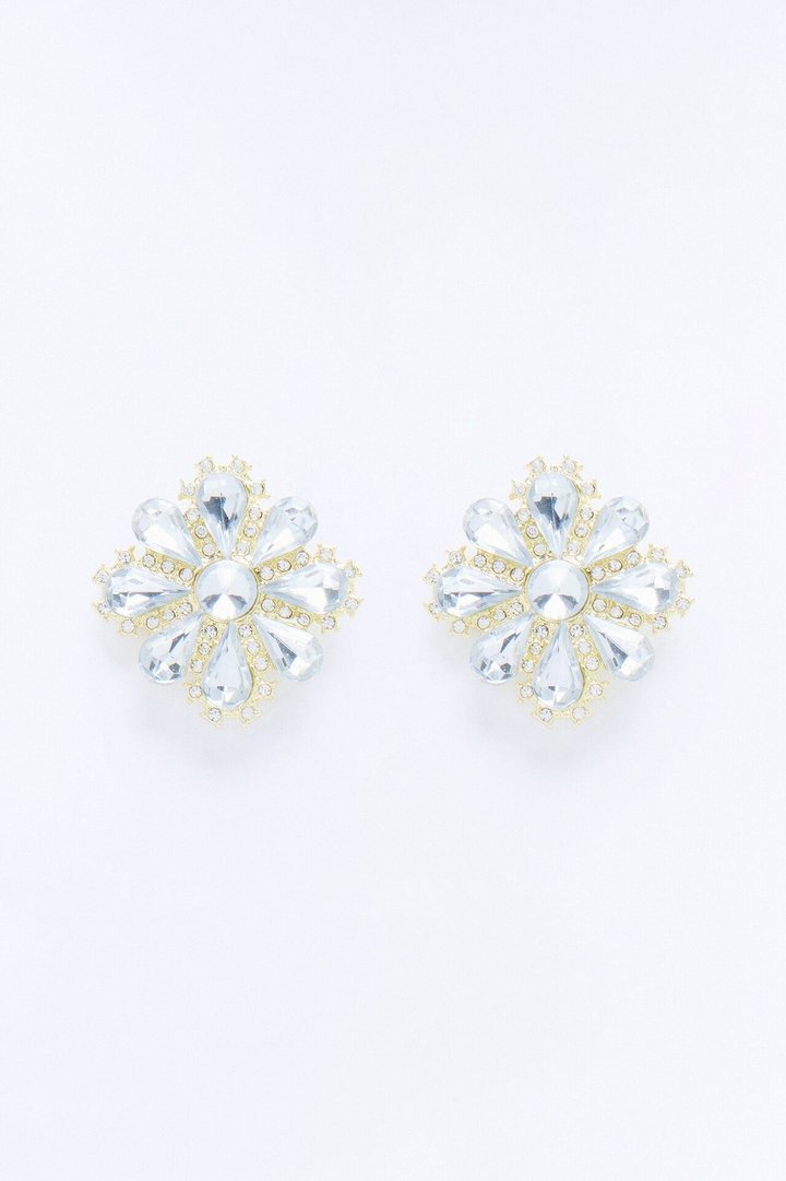 Electric Daisy Earrings - Silver
