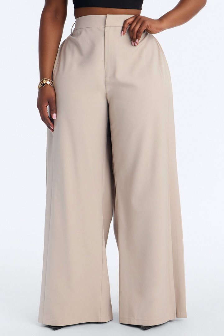 Hailey High Rise Pleated Wide Leg Trouser - Stone