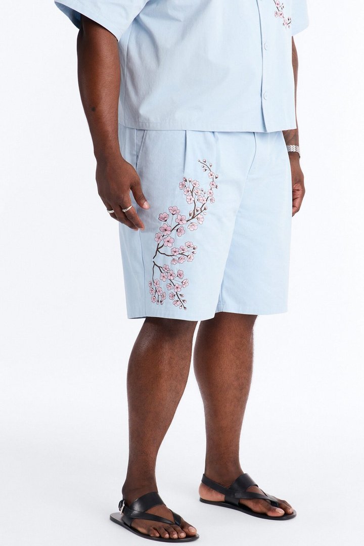 Haru Fade Stripe Short - Light Blue