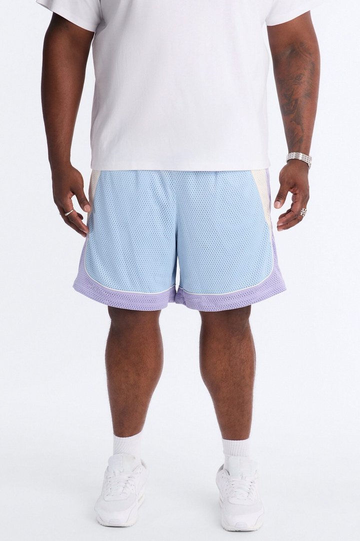 Marcello Relaxed Mesh Short - Purple/combo