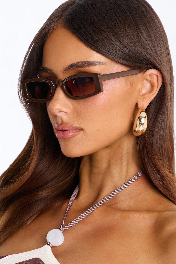 Famous Photo Sunglasses - Brown
