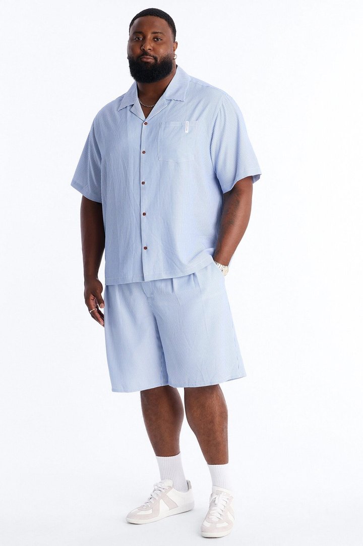 Relaxed Saltair Stripe Pleated Short - Blue/combo