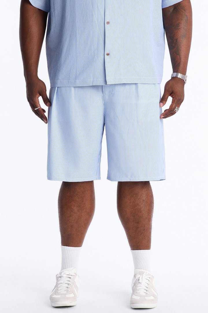 Relaxed Saltair Stripe Pleated Short - Blue/combo