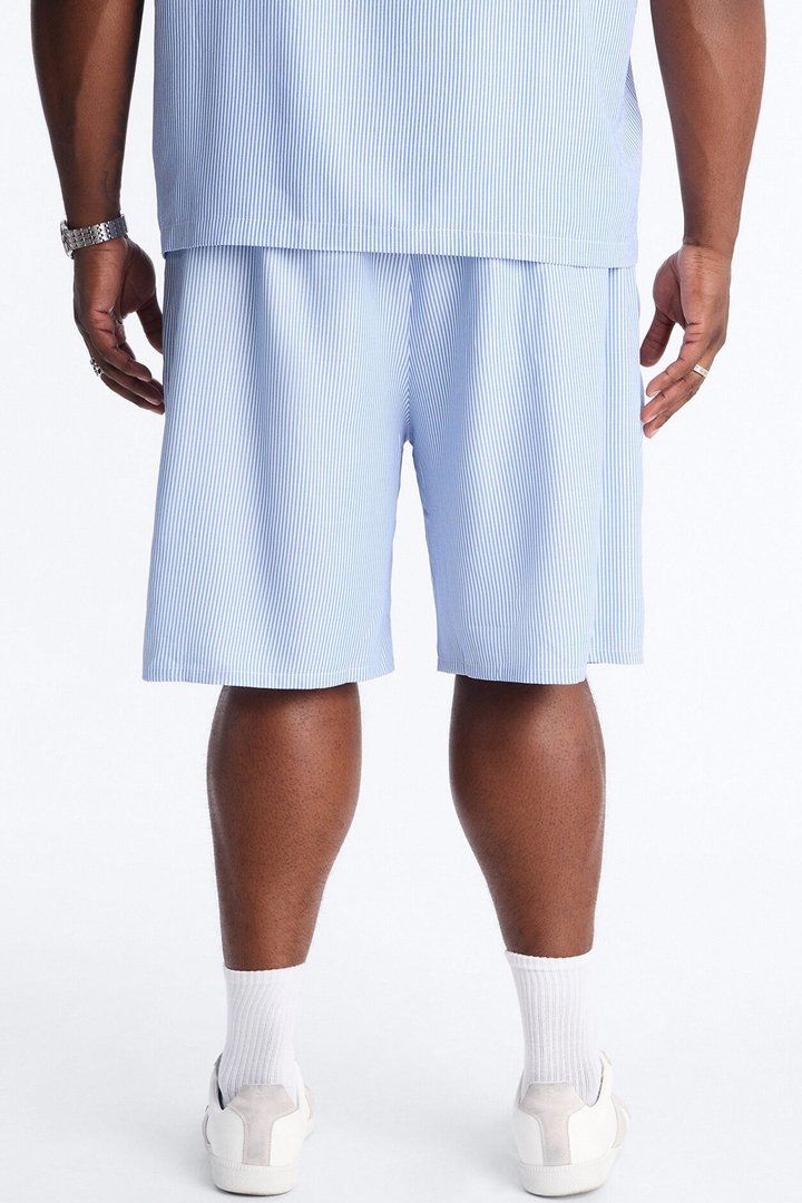 Relaxed Saltair Stripe Pleated Short - Blue/combo