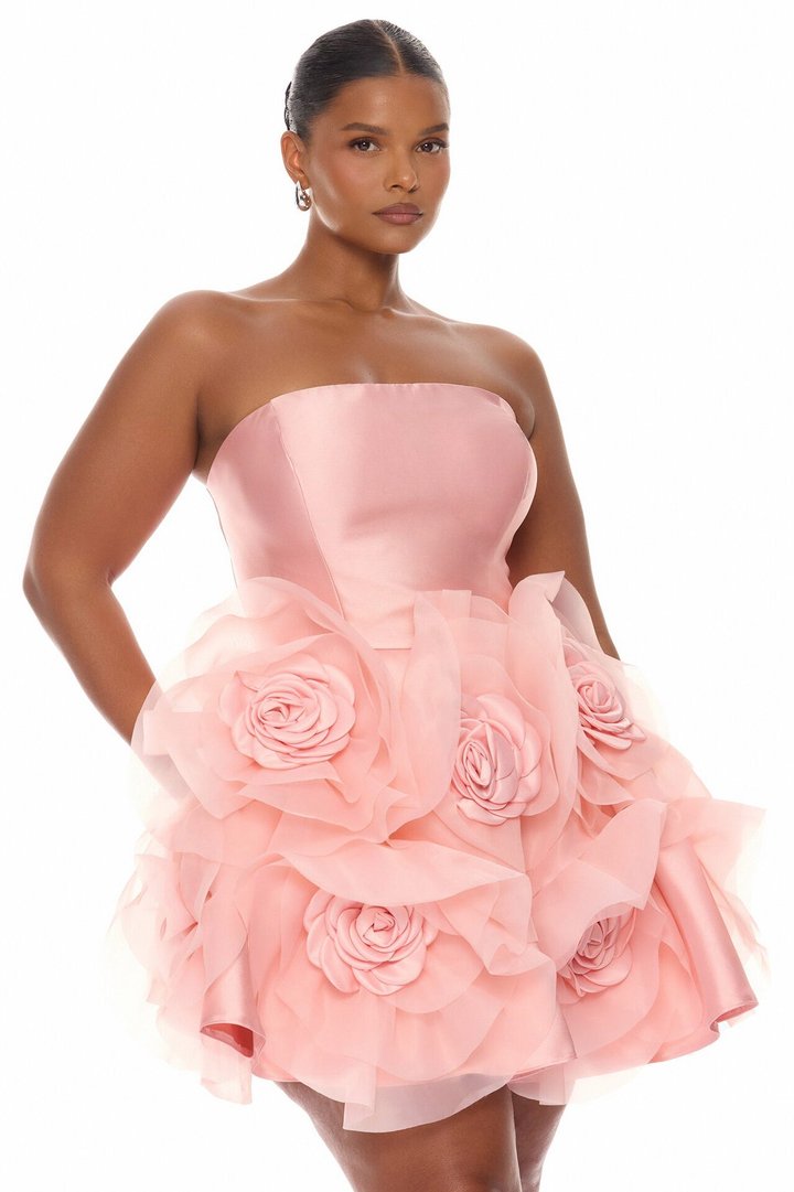 Leona Floral Applique Mini Dress - Peach