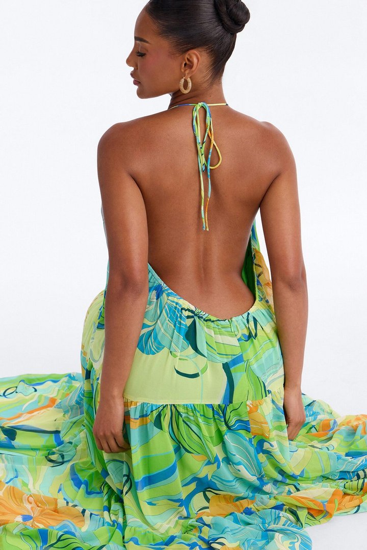 She's Expensive Chiffon Maxi Dress - Green/combo