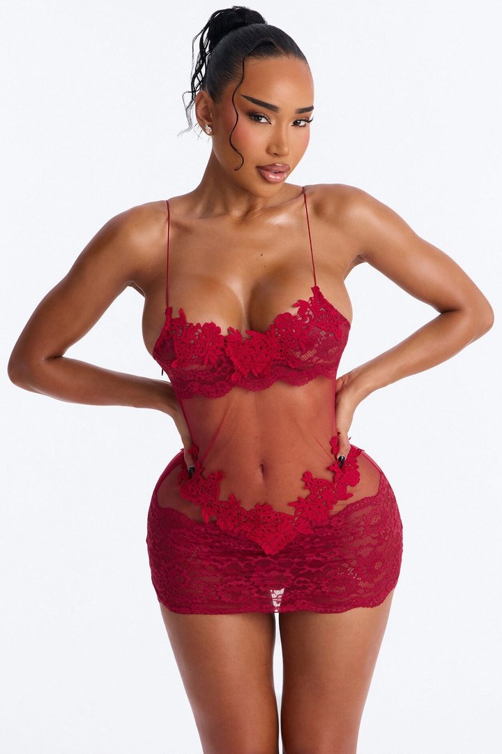 Love Alchemy Mesh Embroidered Chemise - Wine