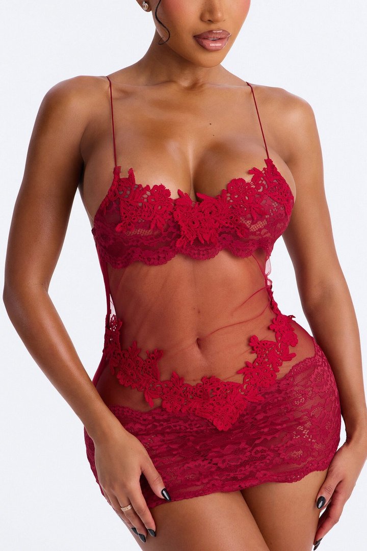 Love Alchemy Mesh Embroidered Chemise - Wine