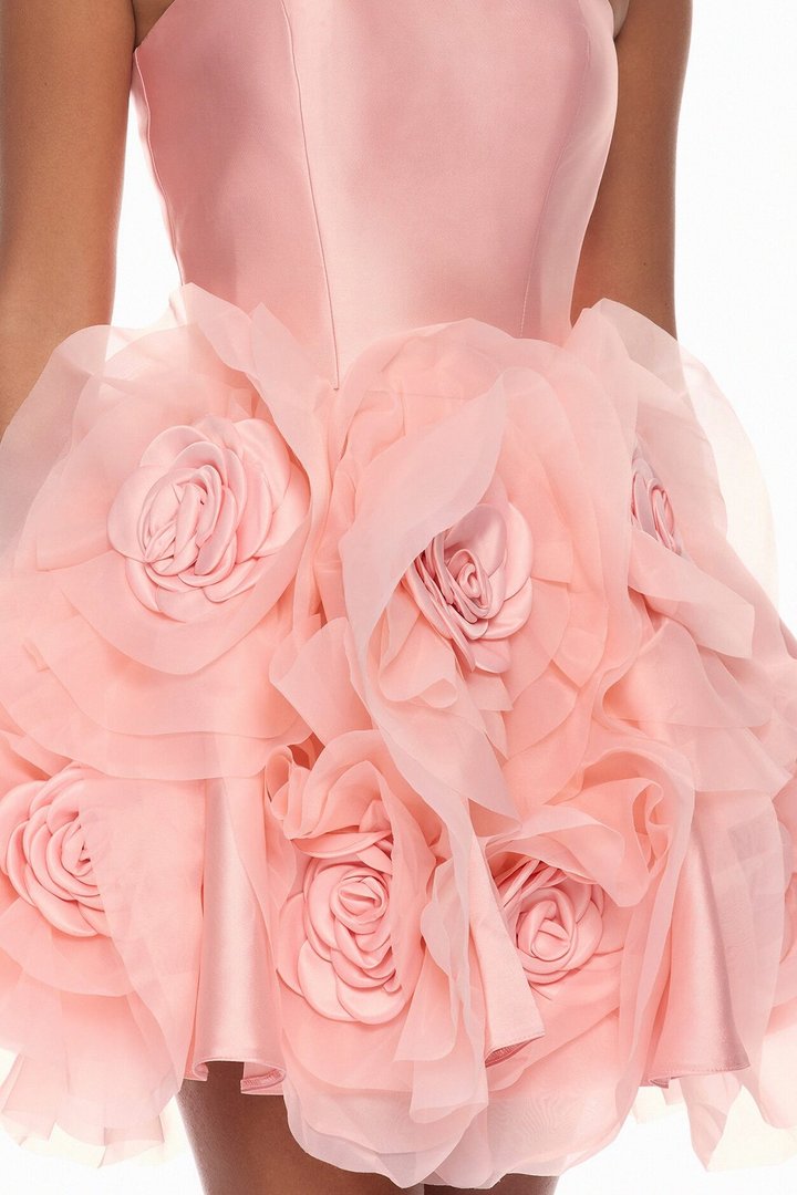 Leona Floral Applique Mini Dress - Peach