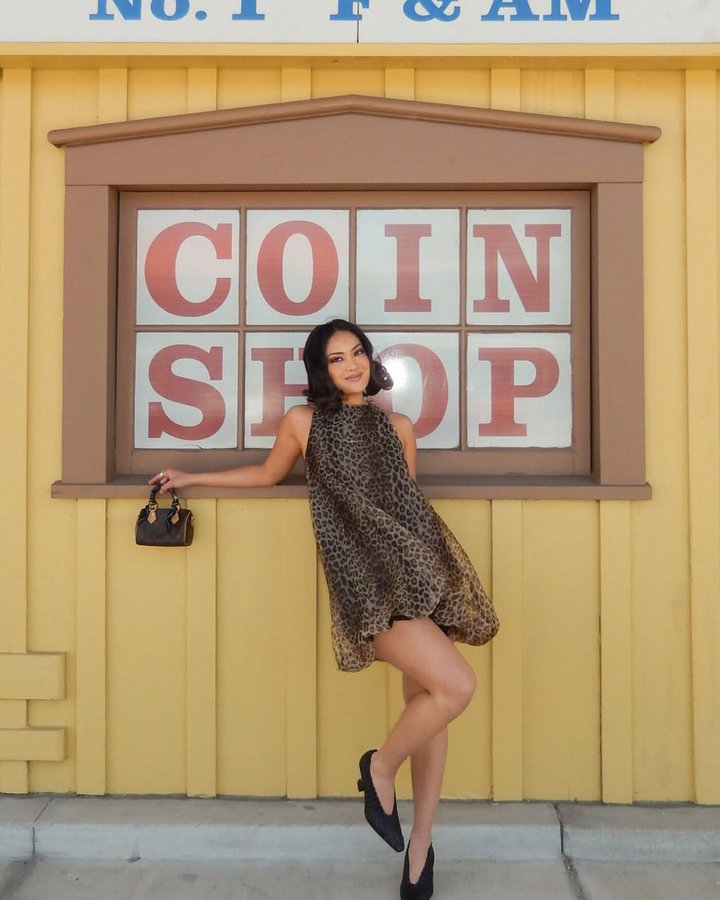 Maribel Lace Up Chiffon Mini Dress - Leopard