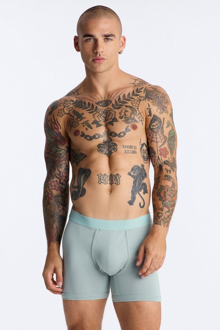 FN Boxer Slate Brief 3 Pack - Sage/combo