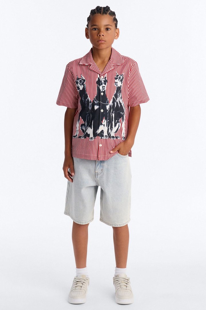 Mini Doberman Seersucker Stripe Cuban Collar Button Up Shirt - Red/combo