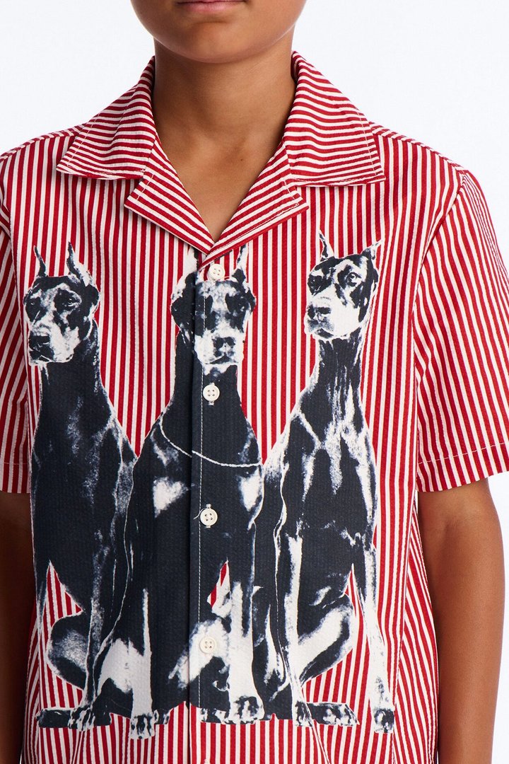 Mini Doberman Seersucker Stripe Cuban Collar Button Up Shirt - Red/combo
