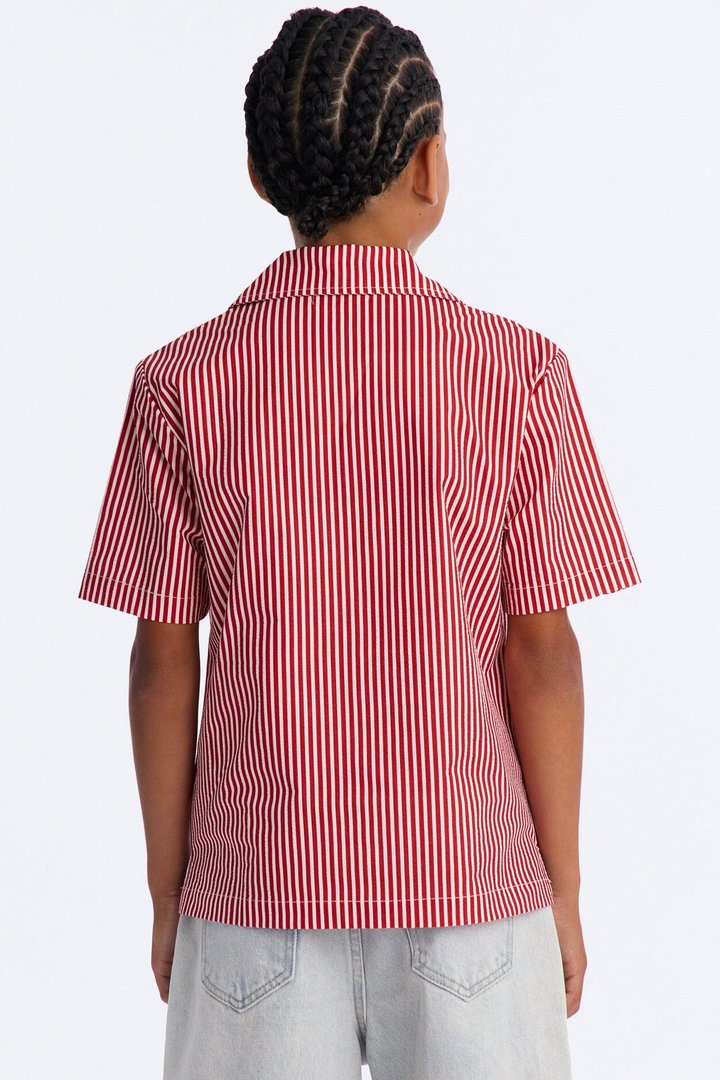 Mini Doberman Seersucker Stripe Cuban Collar Button Up Shirt - Red/combo