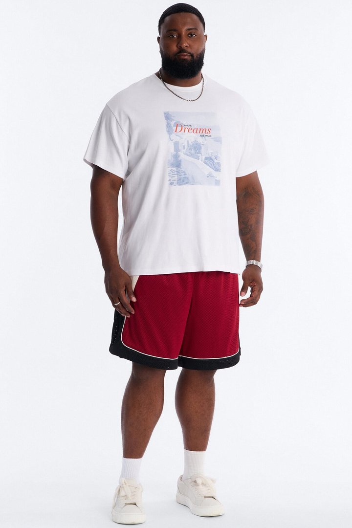 Marcello Relaxed Mesh Short - Red/combo