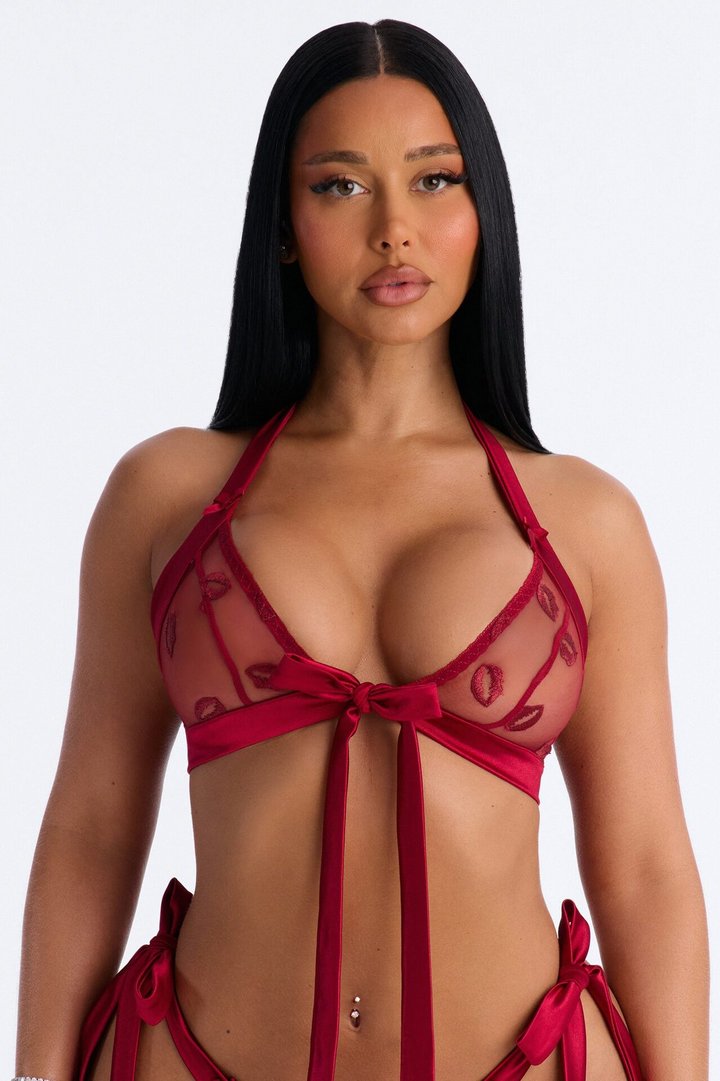 Larina Mesh Embroidered 2 Piece Bralette Set - Red
