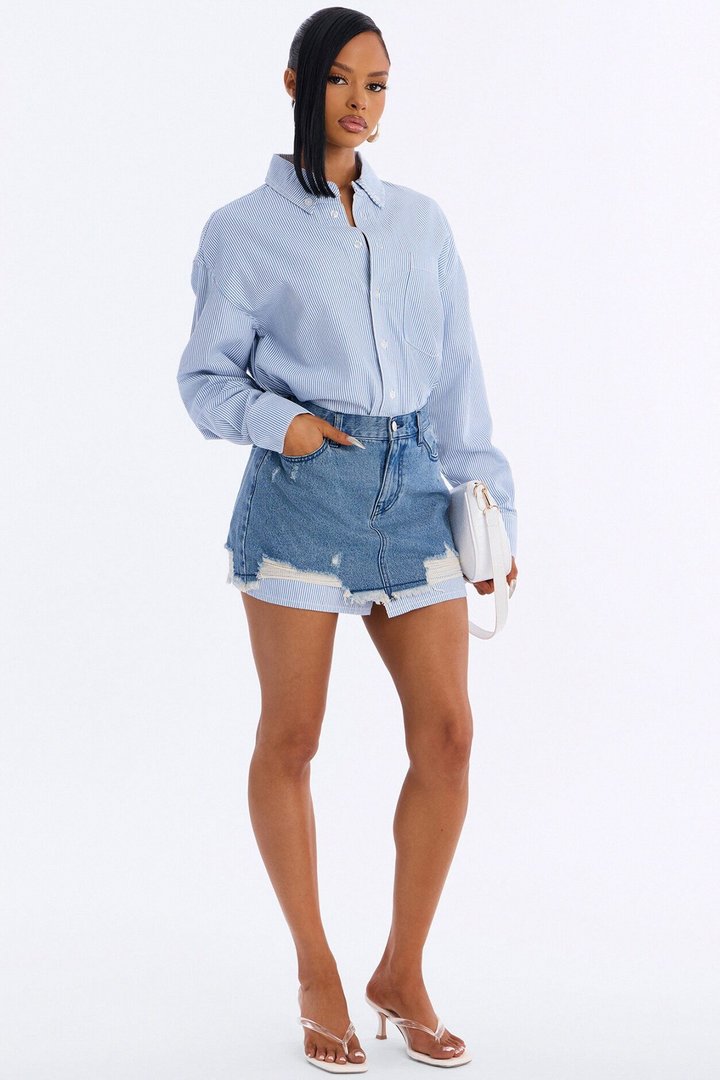 Slay Every Day Striped Collar Mini Dress - Blue/combo