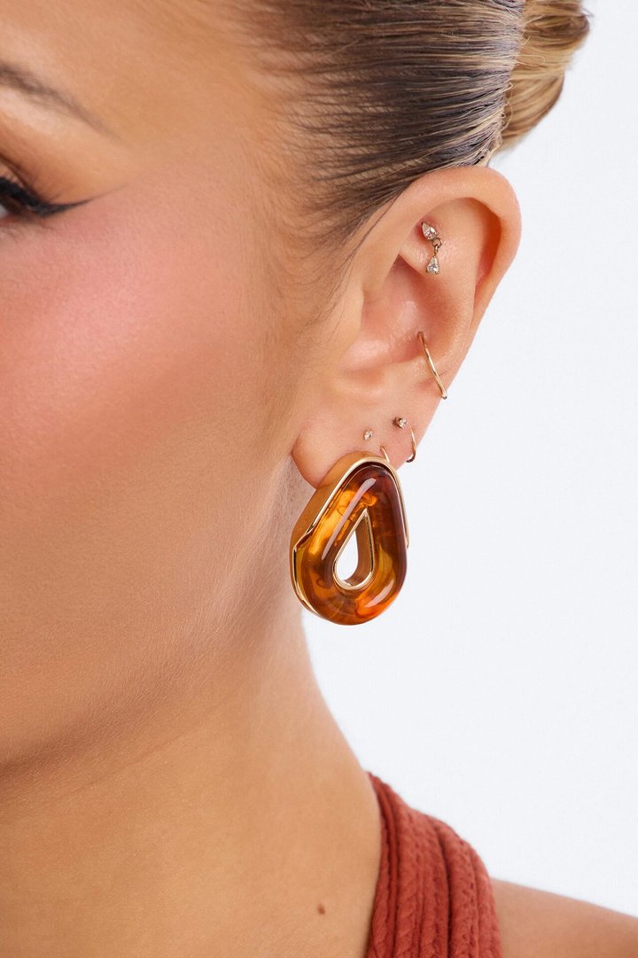 Timeless Jeweled Stud Earrings - Gold/Brown