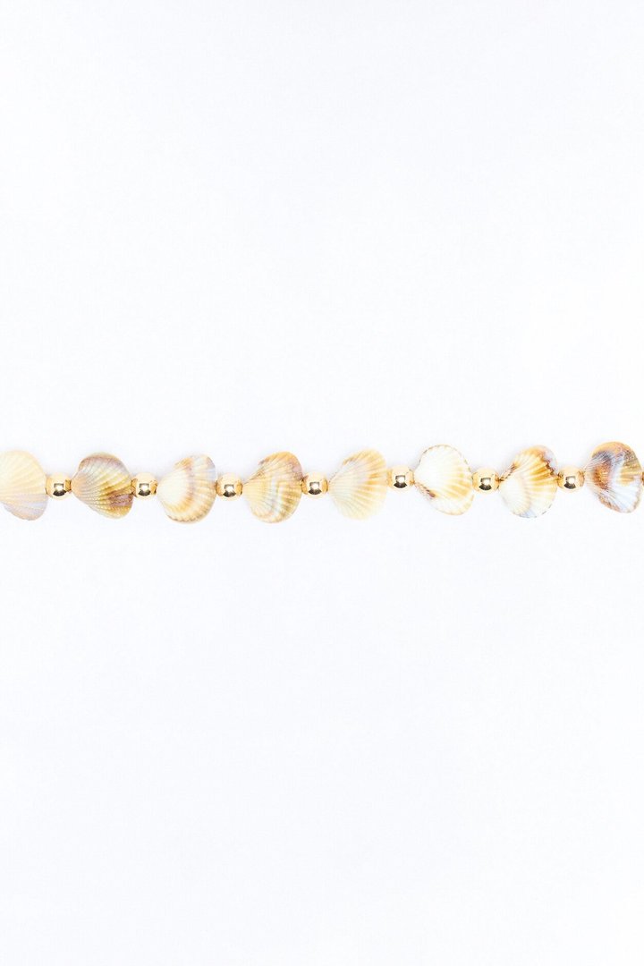 Moon Tide Shells Chain Belt - Gold