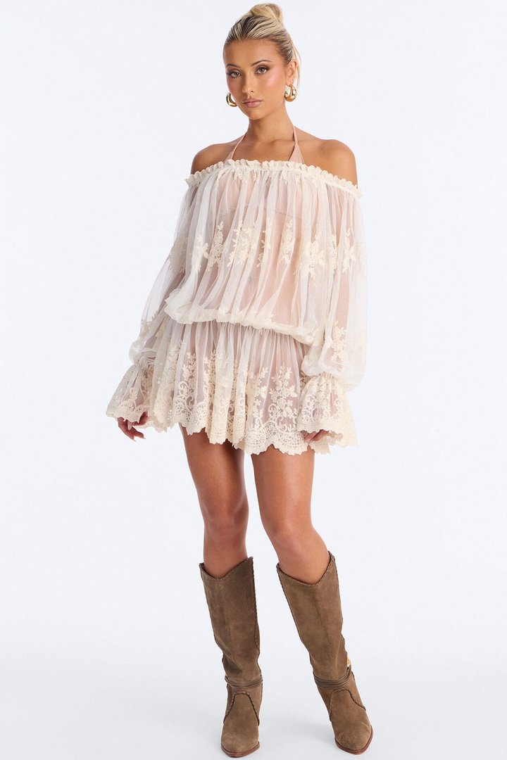 Blossom Mesh Embroidery Long Sleeve Mini Dress - Cream