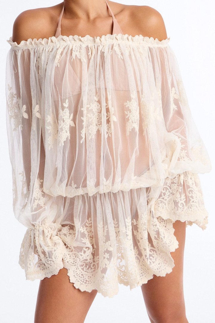 Blossom Mesh Embroidery Long Sleeve Mini Dress - Cream