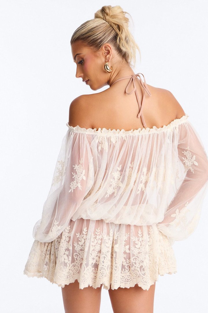 Blossom Mesh Embroidery Long Sleeve Mini Dress - Cream