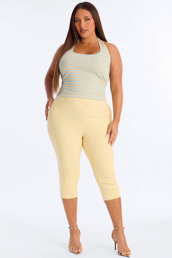 Lulu Ribbed Striped Scoop Neck Halter Top - Brown/combo