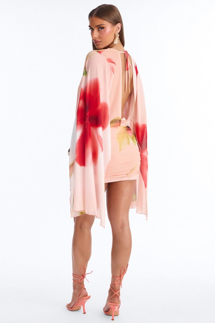 Amoura Long Sleeve Floral Mesh Mini Dress - Pink/combo